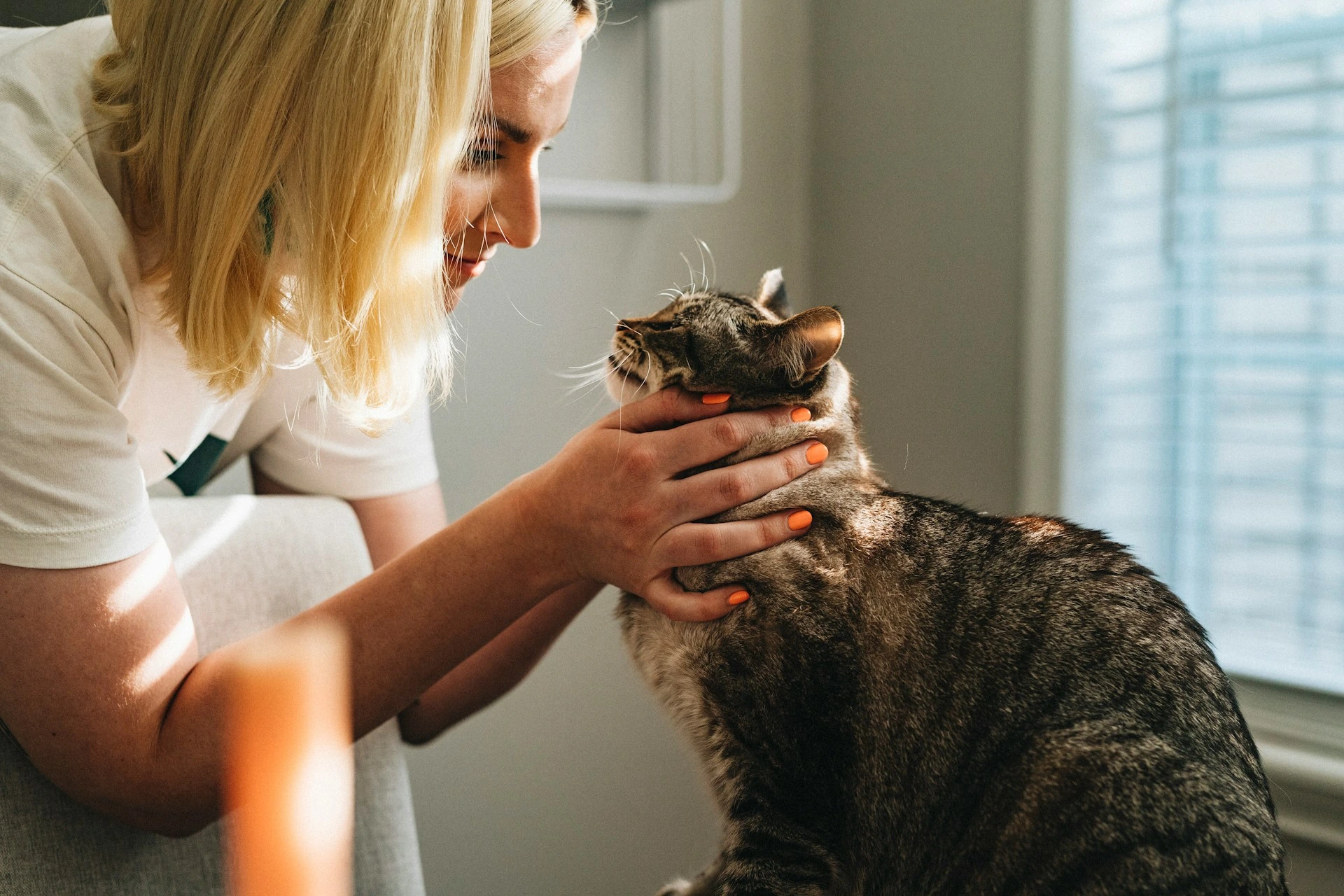 A woman smiles while holding a brown tabby cat's head in her hands.